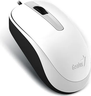 Image de Genius Computer Technology DX-120 mouse Office Ambidextrous USB Type-A Optical 1000 DPI