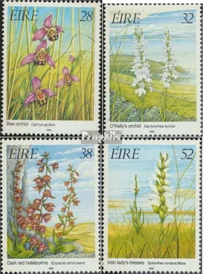 Produktbild von Briefmarken Irland 1993 Mi 821-824 (kompl.Ausg.) postfrisch Orchideen