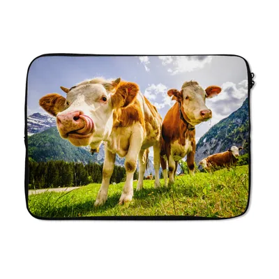Produktbild von MuchoWow® Laptop Hülle 13 Zoll Kühe - Berge - Gras - Landschaft - Alpen Laptoptasche - Laptophülle - Sleeve - Rundumschutz