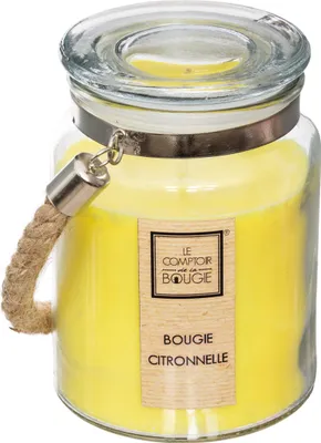 Produktbild von Duftkerze zitronengras 500g - Atmosphera créateur d'intérieur
