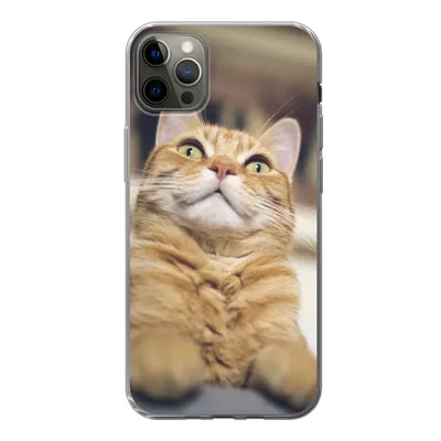 Produktbild von MuchoWow® Handyhülle Schutzhülle Hülle für iPhone 13 Pro Max Katze - Bank - Orange Silikon Softcase Handy Hülle - Mobiltelefon
