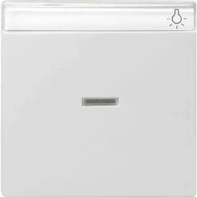 Produktbild von GIRA 067003 Wippe Kontrollfenster+BSF System 55 Reinweiß glänzend