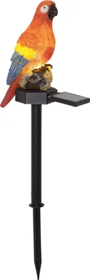 Produktbild von Star Trading 480-76 LED-Solargartenstab "Goja", Papagei ca. 6x31 cm, 1 warmwhite LED, bunter Papagei aus Kunststoff, mit Solarpanel, incl. Akku, outdoor, Vierfarb-Karton