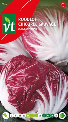 Produktbild von Rotkohl Rossa di Verona Samen - Ca. 1 gr | VT_935