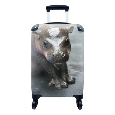 Obrázek produktu pro Kufr Příruční zavazadlo na kolečkách Malý cestovní kufr na 4 kolečkách Hroch - mládě - voda - Velikost kabiny < 55x40x23 cm a 55x40x20 cm - Fotobrašna