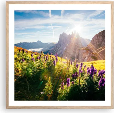 Produktbild von Gerahmtes Poster - Rahmen in heller Eiche - Berge Wiese Blumen - 60x60 cm - Wand Bild - Wanddeko - Wandbilder - Wandposter - Bilderrahmen - Bilder - Kunstdruck - Wandbild - P2NAC60x60-4008