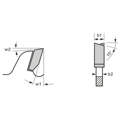 Image de Lame de scie circulaire Expert for Wood Ø30mm - 230 x 30 x 2,8 mm, 36 - 2 608 644 062