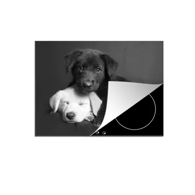 Produktbild von KitchenYeah© Herdabdeckplatte Hunde - Welpe - Schwarz - Weiß - Tiere , 77x59cm, Küche Deko, Glaskeramikkochfeld Herdabdeckung, Abdeckplatte fùr Kochfeld