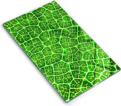 Produktbild von Abdeckung Glas - Küchenabdeckung - 30x52 cm - Abdeckplatte - Blattstruktur