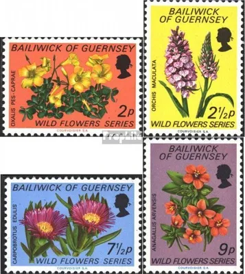 Produktbild von Briefmarken GB - Guernsey 1972 Mi 67-70 (kompl.Ausg.) postfrisch Blumen