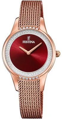 Image de FESTINA Montres-bracelets F20496_1