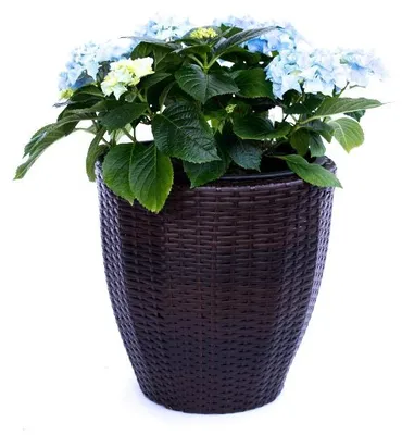 Produktbild von Elegant Einrichten | Pflanzkübel | Polyrattan | rund konisch | D46xH46cm | coffee braun.