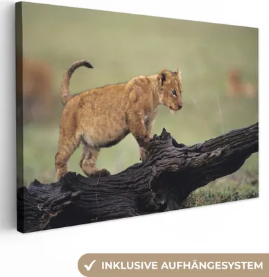 Produktbild von OneMillionCanvasses® - Leinwandbilder - 140x90 cm, Löwe - Rüssel - Junge, Wandbilder Kunstdruck Wanddekoration