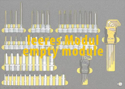 Produktbild von Elora Leermodul ELORA-OMS-52
