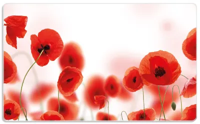 Produktbild von Wallario Frühstücksbrettchen aus Glas, je 14 x 23 cm, mit rutschfesten Füßen, Motiv Leuchtende Mohnblumen - Rote Mohnblumenblüten