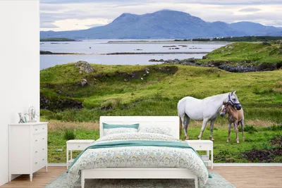 Produktbild von MuchoWow® Fototapete für Wohnzimmer oder Schlafzimmer Wandtapete Vinyl Motivtapete Mutterpferd und Fohlen in Irland - 420x280 cm - Zimmer für Kinder