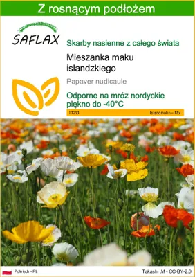 Zdjęcie produktu dla SAFLAX - Mieszanka maku islandzkiego - 8000 Nasiona - Z podłożem uprawowym wolnym od zarazków - Papaver nudicaule