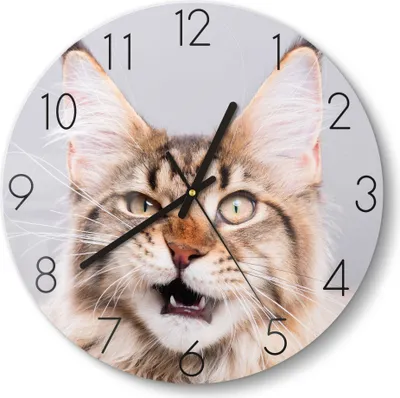 Produktbild von DEQORI Glasuhr Ø30 cm Zahlen 'Maine Coon Katze faucht' Wanduhr Glas Uhr Design leise