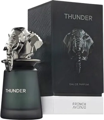 Zdjęcie produktu dla French Avenue Thunder 100Ml Woda Perfumowana Dla Mężczyzn Perfumy Męskie