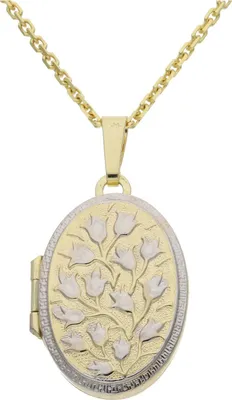 Produktbild von JuwelmaLux Medaillon aus 333/000 Gelbgold JL32-02-0171