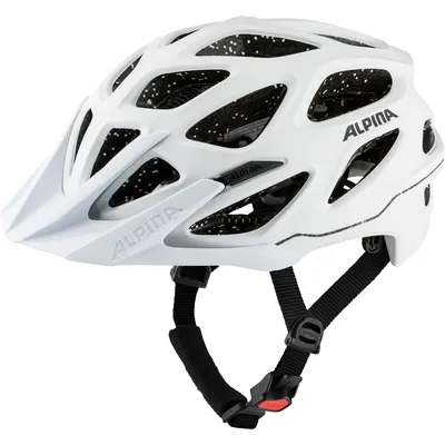 Image de ALPINA Casque de vélo