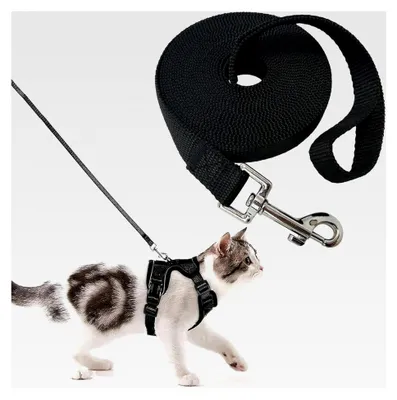 Produktbild von 15 m Schleppleine für Hunde, Nylon Hundeleine, Rückrufleine, Schwarz, lange Trainingsleine, wasserdicht, für große und kleine Hunde, robuste Hundeleine