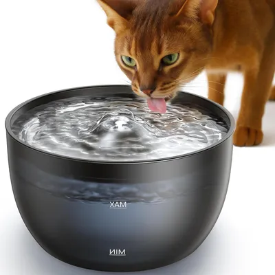 Immagine prodotto di Fontanella per gatti - Abbeveratoio per gatti - Acqua fresca - Funzionamento silenzioso - 3 litri - Nero