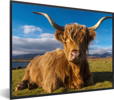 Produktbild von MuchoWow® Gerahmtes Poster Schottische Highlander - Tiere - Gras 80x60 cm - Poster mit Schwarzem Bilderrahmen Wandposter Rahmen Foto Bilder - Schwarzem - Mit Gestell