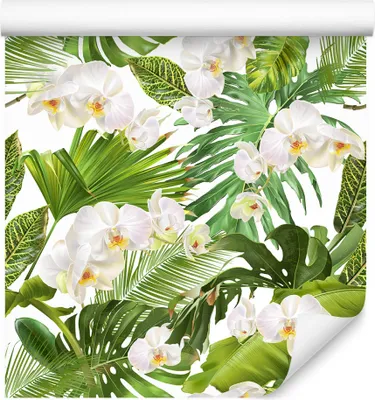 Produktbild von 10m VLIES TAPETE Rolle Blumen Knabenkraut Monstera Exotisch XXL
