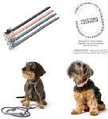 Produktbild von Hunter Halsband Soho Mini schwarz, Größe: XXS-XS / 27 cm / Breite: 0,9 cm