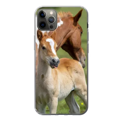 Produktbild von MuchoWow® Handyhülle Schutzhülle Hülle für iPhone 13 Pro Max Pferde - Fohlen - Gras Silikon Softcase Handy Hülle - Mobiltelefon