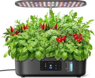 Produktbild von Gewächshaus Hydroponica 13 schwarz