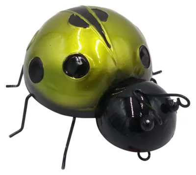 Image de BURI Coccinelle décorative en métal Figurine décorative Décoration de jardin Figurine de jardin Coccinelle 16,5 x 17,5 cm