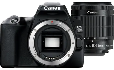 Image de Kit Canon EOS 250D + EF-S 18-55 mm IS STM