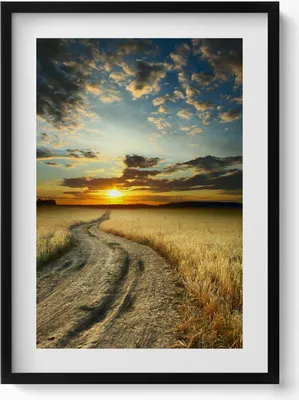 Produktbild von Feldweg und Sonnenuntergang– Wandbild mit Rahmen – Gerahmtes Bild  – Wanddekoration – 50x70 cm –  Schwarz Rahmen