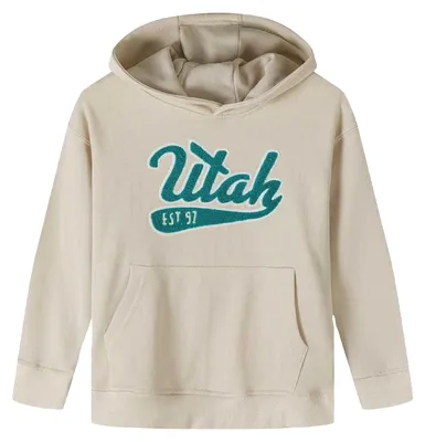 Image de Minoti - Sweat à capuche pour garçon, poche kangourou, oversize MN694 (110) (blanc)