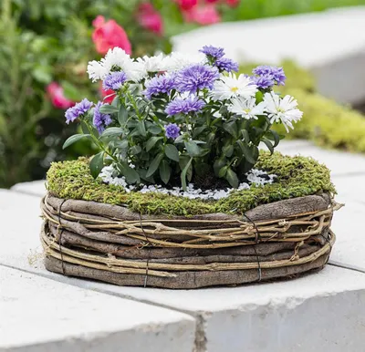 Produktbild von Pflanzer "Natur" Pflanzschale aus Moos, Weinreben & Weide, rund Ø 26 cm, Outdoor Blumentopf, Pflanztopf für Draußen, Garten Pflanzgefäß
