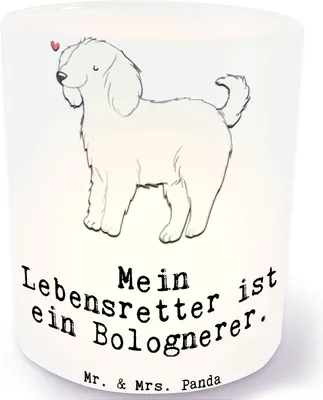 Produktbild von Mr. & Mrs. Panda Windlicht Glas Bologneser Lebensretter - Transparent - Geschenk, Teelichthalter, aus, Terrasse, dekolicht, Outdoor