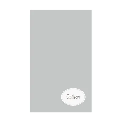 Produktbild von Gästehandtuch der Serie Opilein, grau, bestickt, aus 100% Baumwolle, 50 x 30 cm