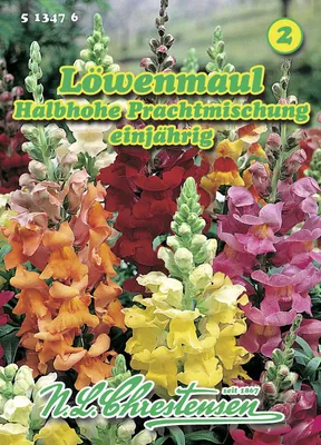 Produktbild von Löwenmaul Halbhohe PrachtMischung  | Löwenmaulsamen von N.L. Chrestensen