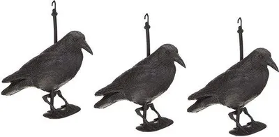 Image de Piquets anti-oiseaux en acier inoxydable, préinstallés, résistants à la rouille