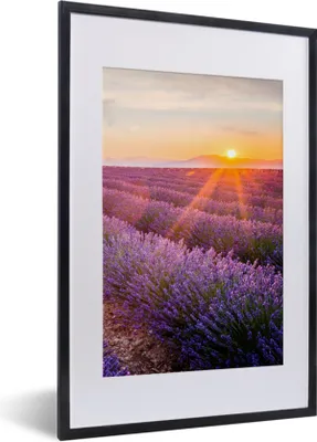 Produktbild von MuchoWow® Gerahmtes Poster Lavendel - Sonnenuntergang - Blumen - Lila 40x60 cm - Poster mit Schwarzem Bilderrahmen Wandposter Rahmen Foto Bilder - Poster in Rahmen