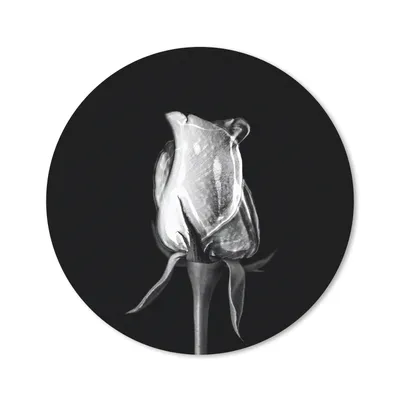 Produktbild von MuchoWow® Mauspad Mousepad Rosen - Blumen - Schwarz - Weiß 30x30 cm - Mousepads - Maus Mat - Pad - Mausunterlage - Tischunterlage - Schreibtischmatten