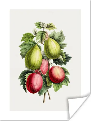 Produktbild von MuchoWow® Poster Obst - Feigen - Lebensmittel 60x80 cm - Schlafzimmer Dekoration