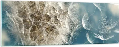 Produktbild von Bilder auf glas - Baby Sommer Pflanze - 90x30cm - Glasbilder - Wandbilder - Kunstdruck - zum Aufhängen bereit - Wanddekoration aus Glas - Glas Bilder - Wandbild auf Glas - Einteilig - GAB90x30-3567