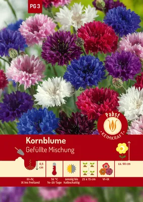 Artikelbild 1 von 'Kornblume Gefüllte Mischung' aus der Kategorie Kornblumensamen