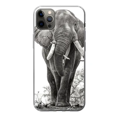 Produktbild von MuchoWow® Handyhülle Schutzhülle Hülle für iPhone 13 Pro Max Elefant - Porträt - Tiere - Schwarz und weiß Silikon Softcase Handy Hülle - Mobiltelefon