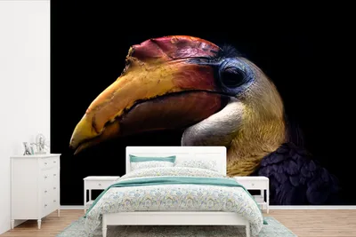 Produktbild von MuchoWow® Fototapete für Wohnzimmer oder Schlafzimmer Wandtapete Vinyl Motivtapete Vogel - Schnabel - Schwarz - 330x220 cm - Fototapeten