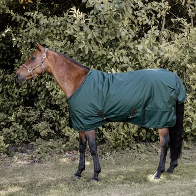 Produktbild von Kentucky Horsewear All Weather Turnout 160g - Dunkelgrün, 70