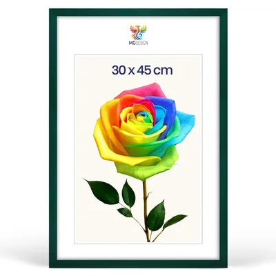 Produktbild von MG Design Bilderrahmen 30 x 45 cm - Posterrahmen mit Grün Holzrahmen (Echtholz) und bruchsicherem Acrylglas, Hoch & Quer mit stabiler Wandaufhängung